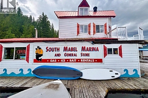 3614 Lumby Mabel Lake Road - Photo 30