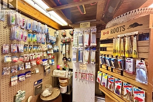 3614 Lumby Mabel Lake Road - Photo 33