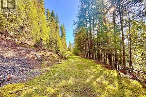 3614 Lumby Mabel Lake Road - Photo 39