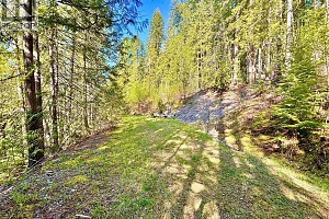 3614 Lumby Mabel Lake Road - Photo 40