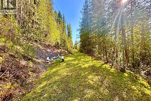 3614 Lumby Mabel Lake Road - Photo 5