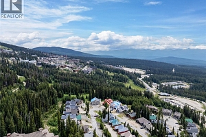 5965 Snow Pines Crescent Unit# D - Photo 29