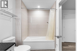 1068 Clarance Avenue - Photo 53