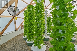 397 Glenmary Road - Photo 44