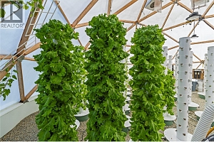 397 Glenmary Road - Photo 45