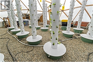 397 Glenmary Road - Photo 49