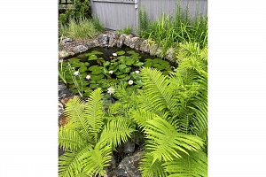 3917 Gallaghers Circle - Photo 44