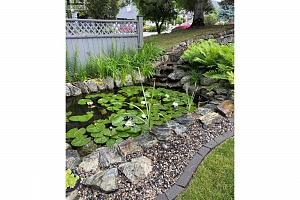 3917 Gallaghers Circle - Photo 45