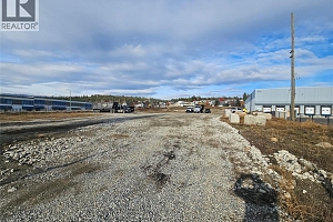 3226 Appaloosa Road - Photo 12