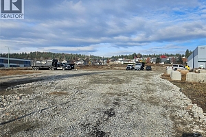 3226 Appaloosa Road - Photo 13