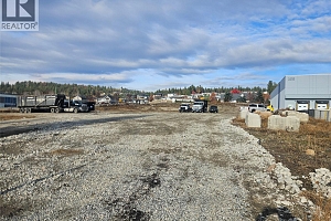 3226 Appaloosa Road - Photo 14