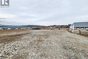 3226 Appaloosa Road - Photo 5