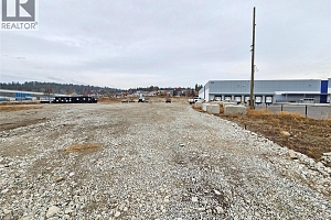 3226 Appaloosa Road - Photo 6