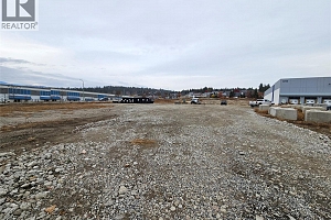 3226 Appaloosa Road - Photo 8