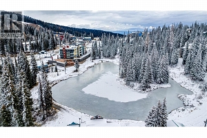 30 Monashee Road Unit# 203 - Photo 25