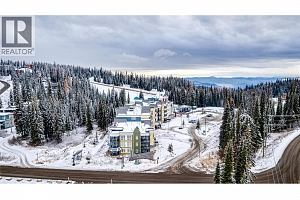 30 Monashee Road Unit# 203 - Photo 30