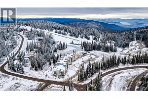 30 Monashee Road Unit# 203 - Photo 32