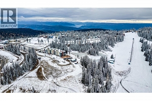 30 Monashee Road Unit# 203 - Photo 34