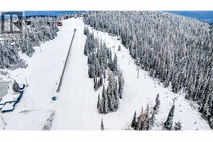 30 Monashee Road Unit# 203 - Photo 35