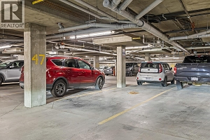 1331 Ellis Street Unit# 319 - Photo 34