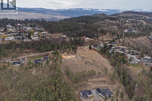 10786 Nighthawk Road - Photo 14