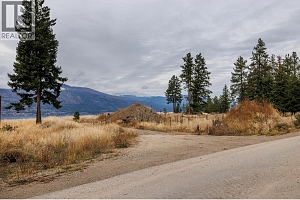 10786 Nighthawk Road - Photo 16