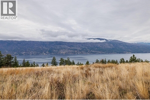 10786 Nighthawk Road - Photo 18