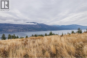 10786 Nighthawk Road - Photo 19