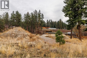 10786 Nighthawk Road - Photo 20