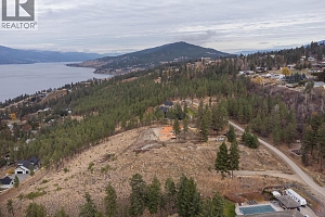 10786 Nighthawk Road - Photo 9