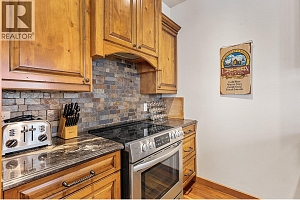 255 Feathertop Way Unit# 14 - Photo 11