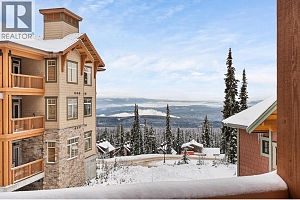 255 Feathertop Way Unit# 14 - Photo 25