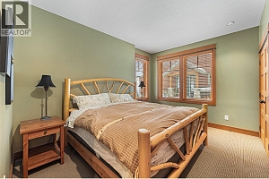 255 Feathertop Way Unit# 14 - Photo 31