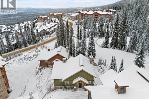 255 Feathertop Way Unit# 14 - Photo 37