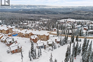 255 Feathertop Way Unit# 14 - Photo 39