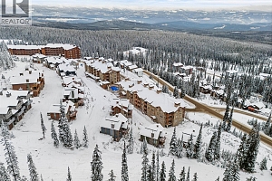 255 Feathertop Way Unit# 14 - Photo 40