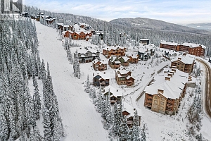 255 Feathertop Way Unit# 14 - Photo 41