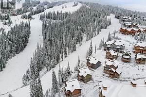 255 Feathertop Way Unit# 14 - Photo 42