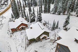 255 Feathertop Way Unit# 14 - Photo 43