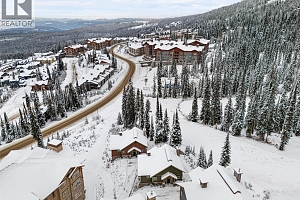 255 Feathertop Way Unit# 14 - Photo 44