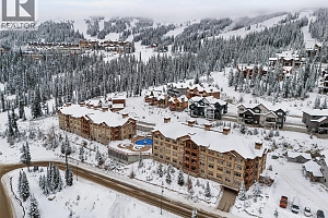 255 Feathertop Way Unit# 14 - Photo 53