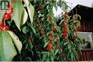 408 GRANDVIEW BENCH Road - Photo 10