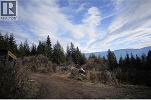 408 GRANDVIEW BENCH Road - Photo 3