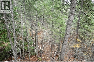 408 GRANDVIEW BENCH Road - Photo 4