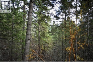 408 GRANDVIEW BENCH Road - Photo 5