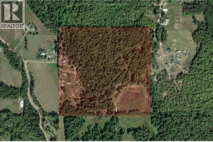 408 GRANDVIEW BENCH Road - Photo 6