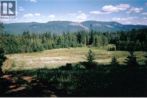 408 GRANDVIEW BENCH Road - Photo 8