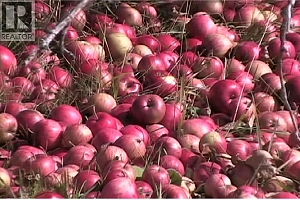 408 GRANDVIEW BENCH Road - Photo 9