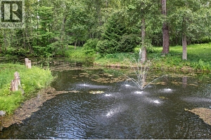 2950 Balldock Road - Photo 67