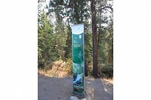 7044 Manning Place - Photo 33